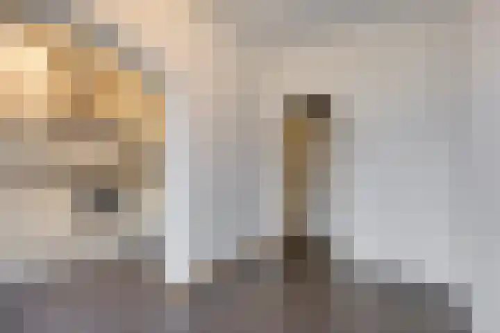 Kapershoek 75 Rotterdam thumbnail 7