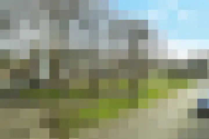 Kapershoek 83 Rotterdam thumbnail 27