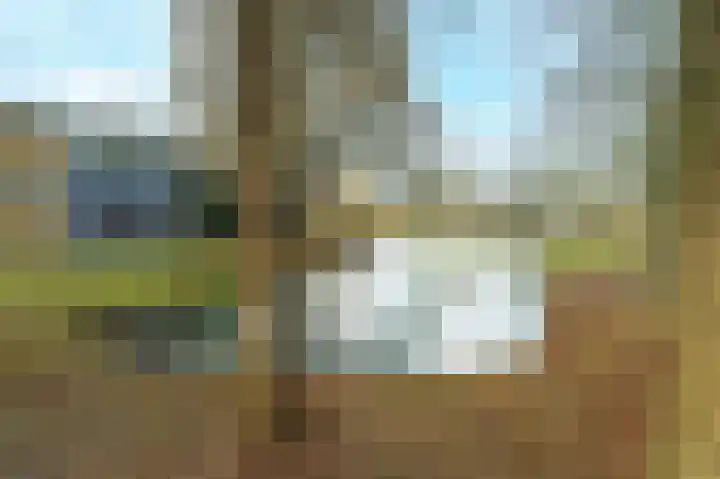 Kapershoek 83 Rotterdam thumbnail 5