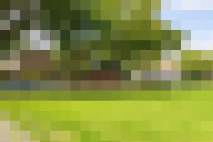 Kapershoek 97 Rotterdam thumbnail 24
