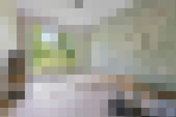 Kapershof 27 Beuningen Gld thumbnail 18