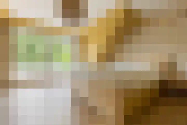 Kapershof 27 Beuningen Gld thumbnail 38