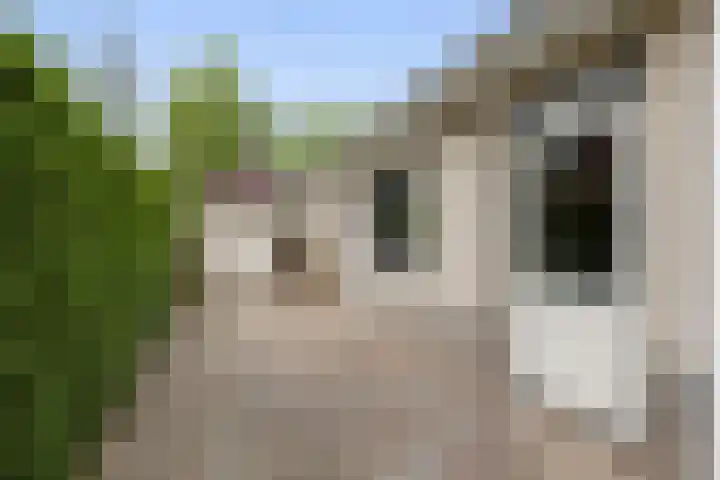 Kapershof 27 Beuningen Gld thumbnail 47