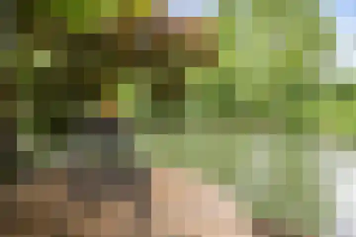 Kapershof 27 Beuningen Gld thumbnail 54