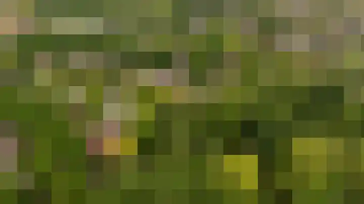 Kapershof 27 Beuningen Gld thumbnail 56