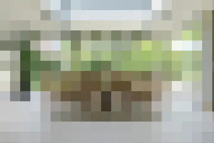 Kapershof 27 Beuningen Gld thumbnail 6