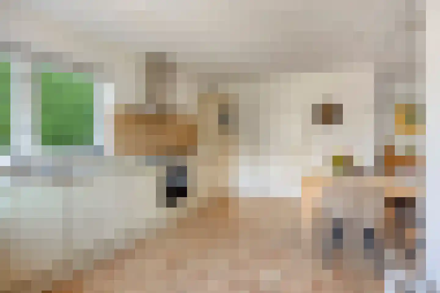 Kapershof 30 Beuningen Gld thumbnail 19