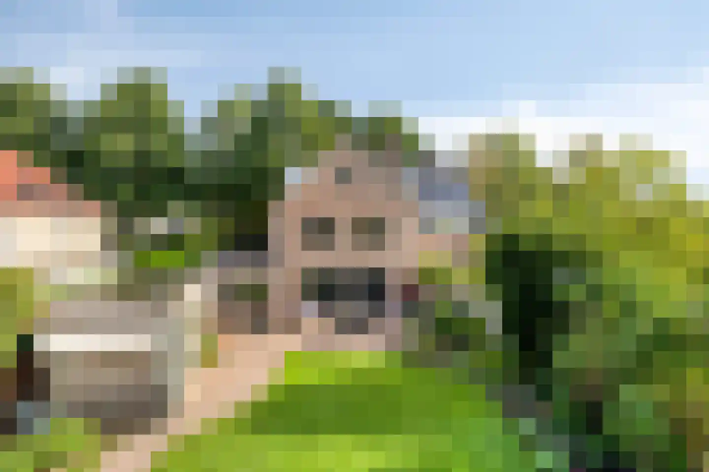 Kapershof 30 Beuningen Gld thumbnail 23
