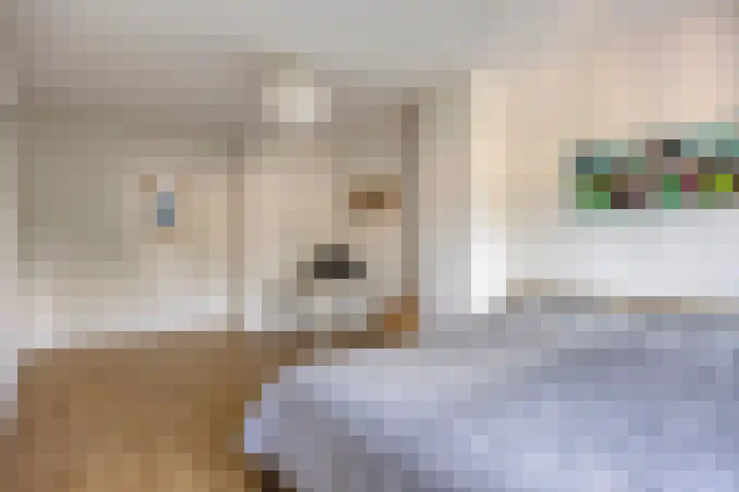 Kapershof 30 Beuningen Gld thumbnail 31