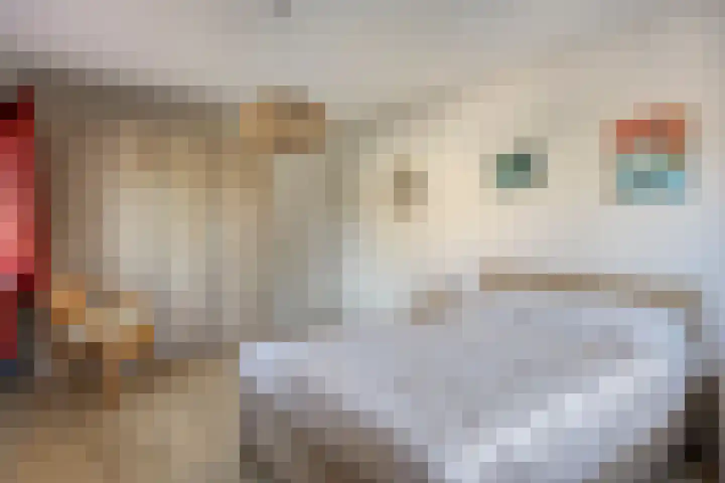 Kapershof 30 Beuningen Gld thumbnail 39