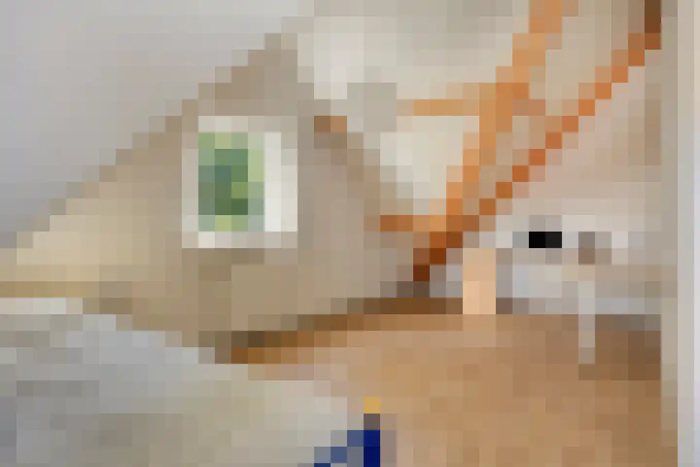 Kapershof 30 Beuningen Gld thumbnail 43