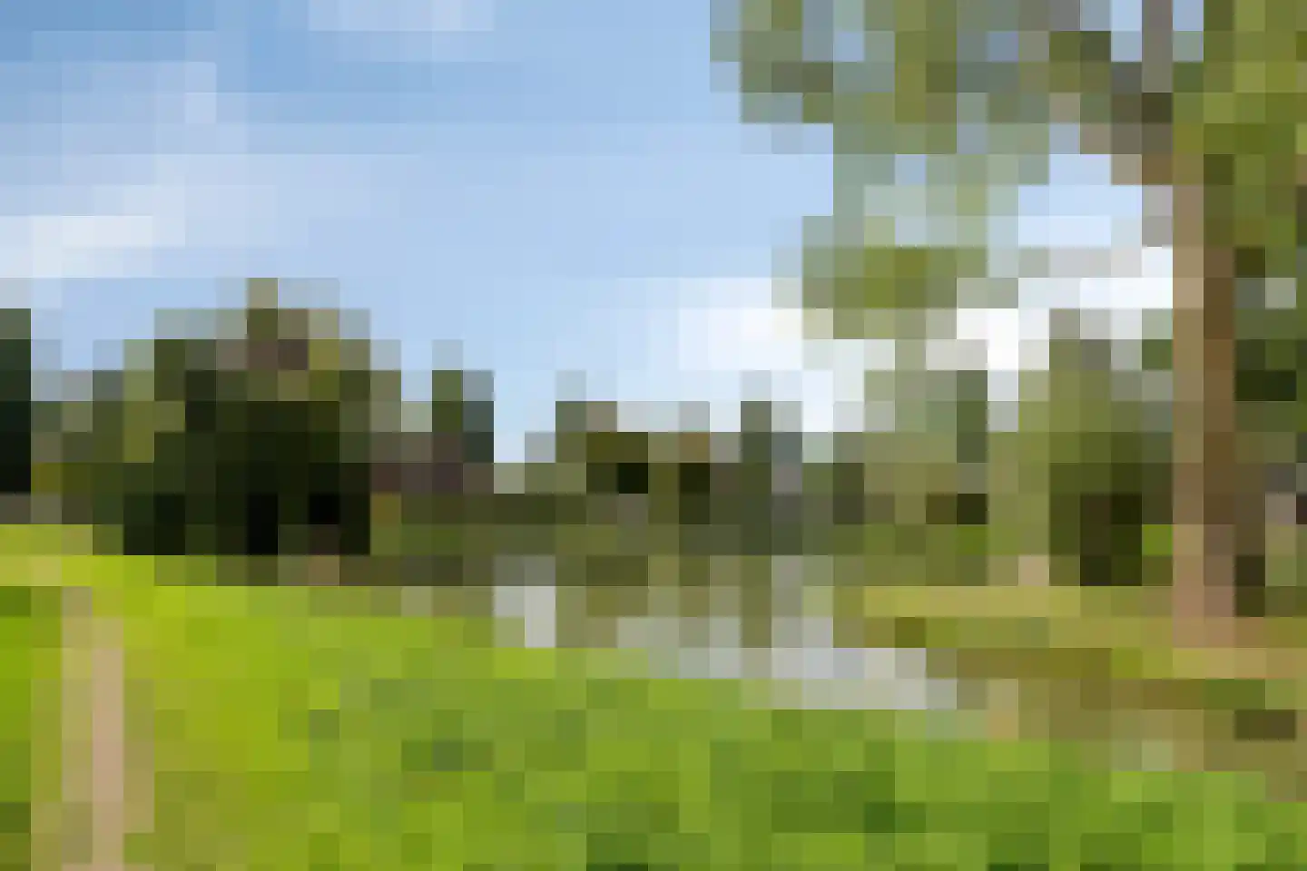 Kapershof 30 Beuningen Gld thumbnail 48