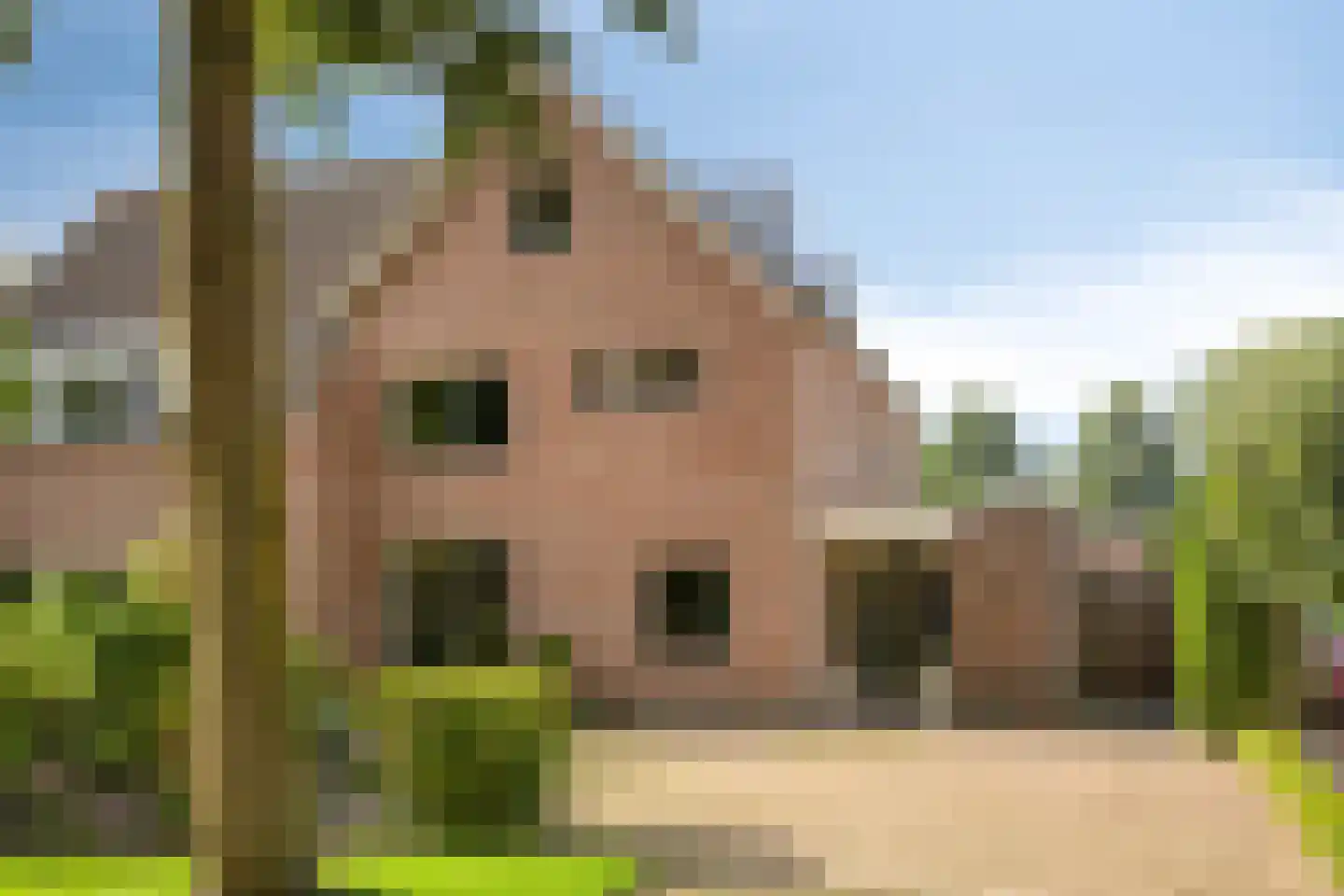 Kapershof 30 Beuningen Gld thumbnail 6