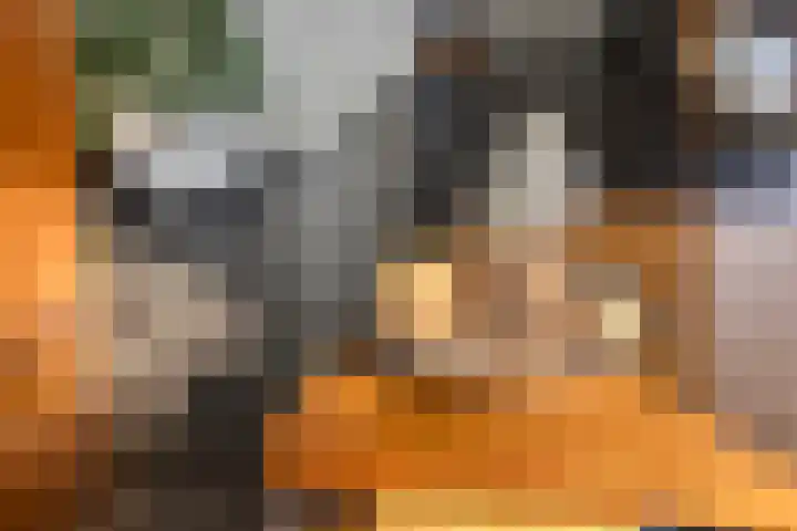 Kapershof 36 Beuningen Gld thumbnail 24