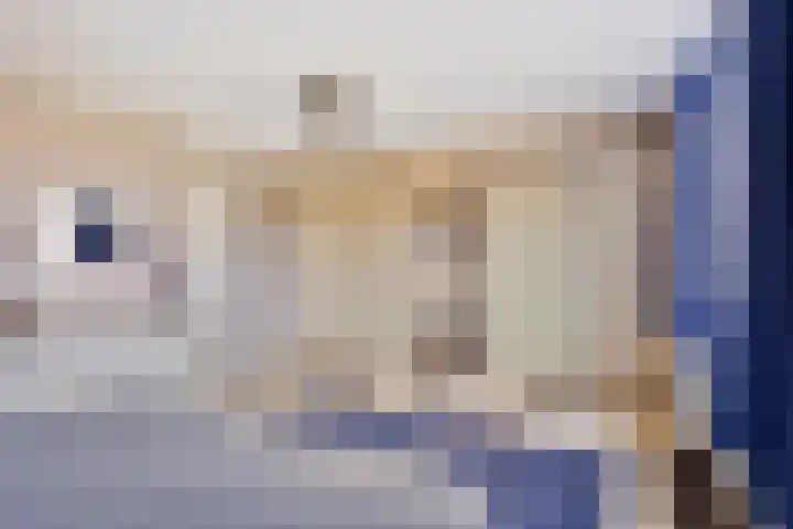 Kapershof 36 Beuningen Gld thumbnail 34