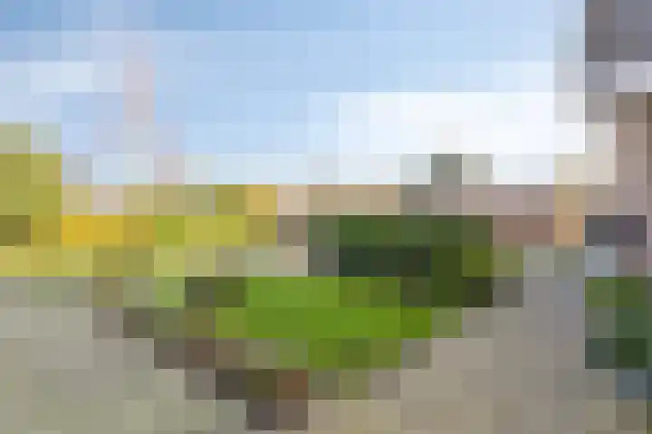 Kapershof 36 Beuningen Gld thumbnail 42