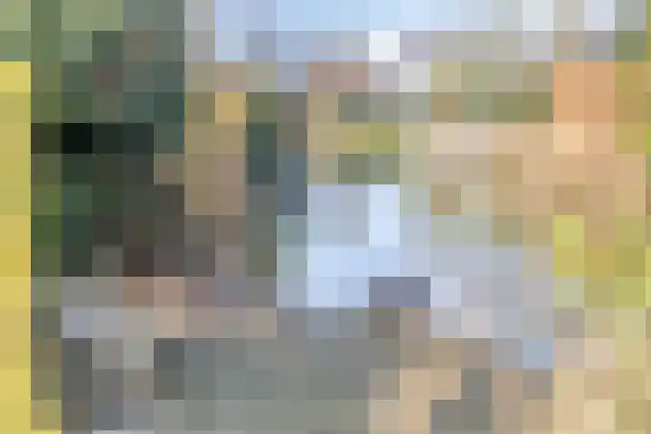 Kapershof 36 Beuningen Gld thumbnail 43