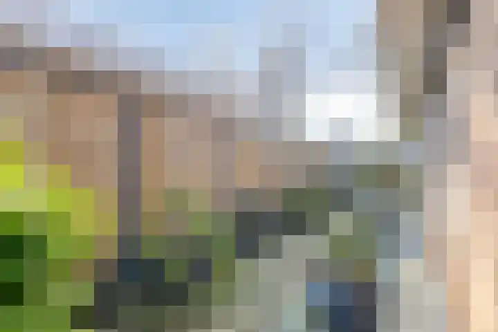 Kapershof 36 Beuningen Gld thumbnail 44