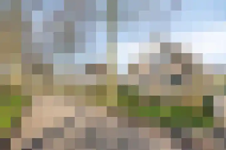 Kapershof 36 Beuningen Gld thumbnail 5