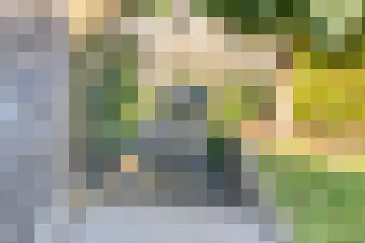 Kapershof 36 Beuningen Gld thumbnail 52