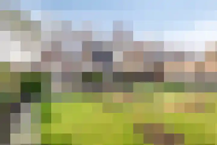 Kapershof 36 Beuningen Gld thumbnail 54