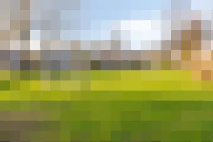 Kapershof 36 Beuningen Gld thumbnail 59
