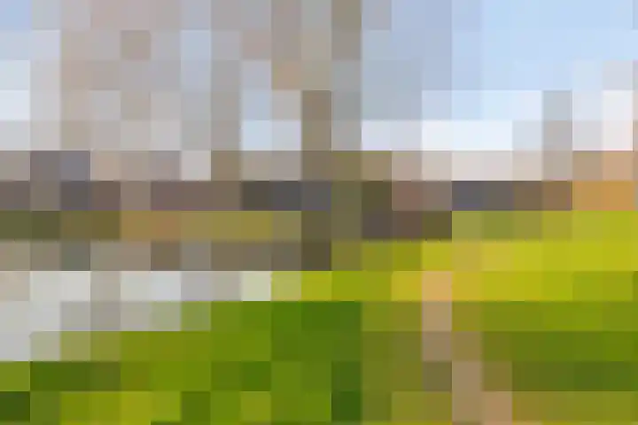 Kapershof 36 Beuningen Gld thumbnail 60
