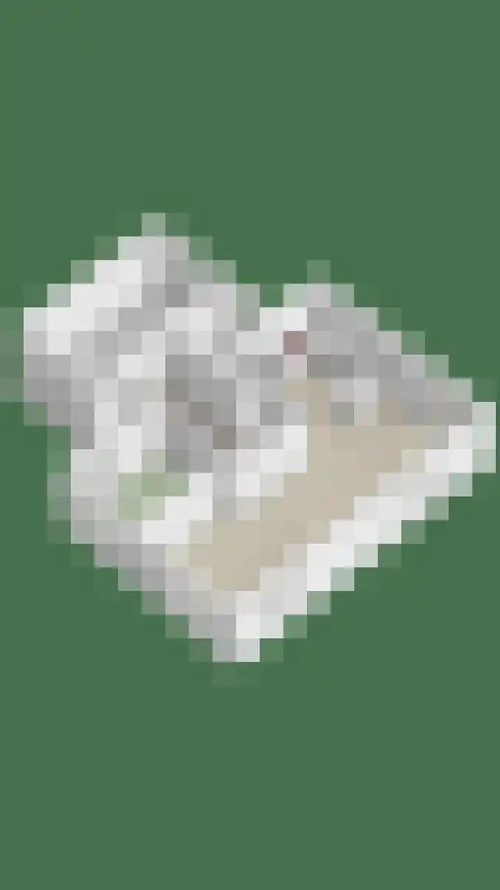 Kapershof 36 Beuningen Gld thumbnail 63