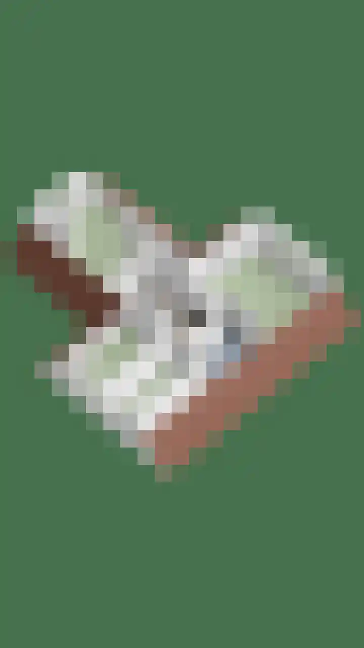Kapershof 36 Beuningen Gld thumbnail 65