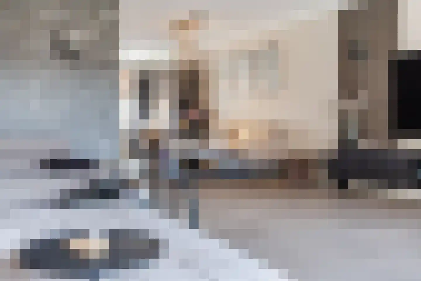 Kapiteel 1 Waddinxveen thumbnail 12