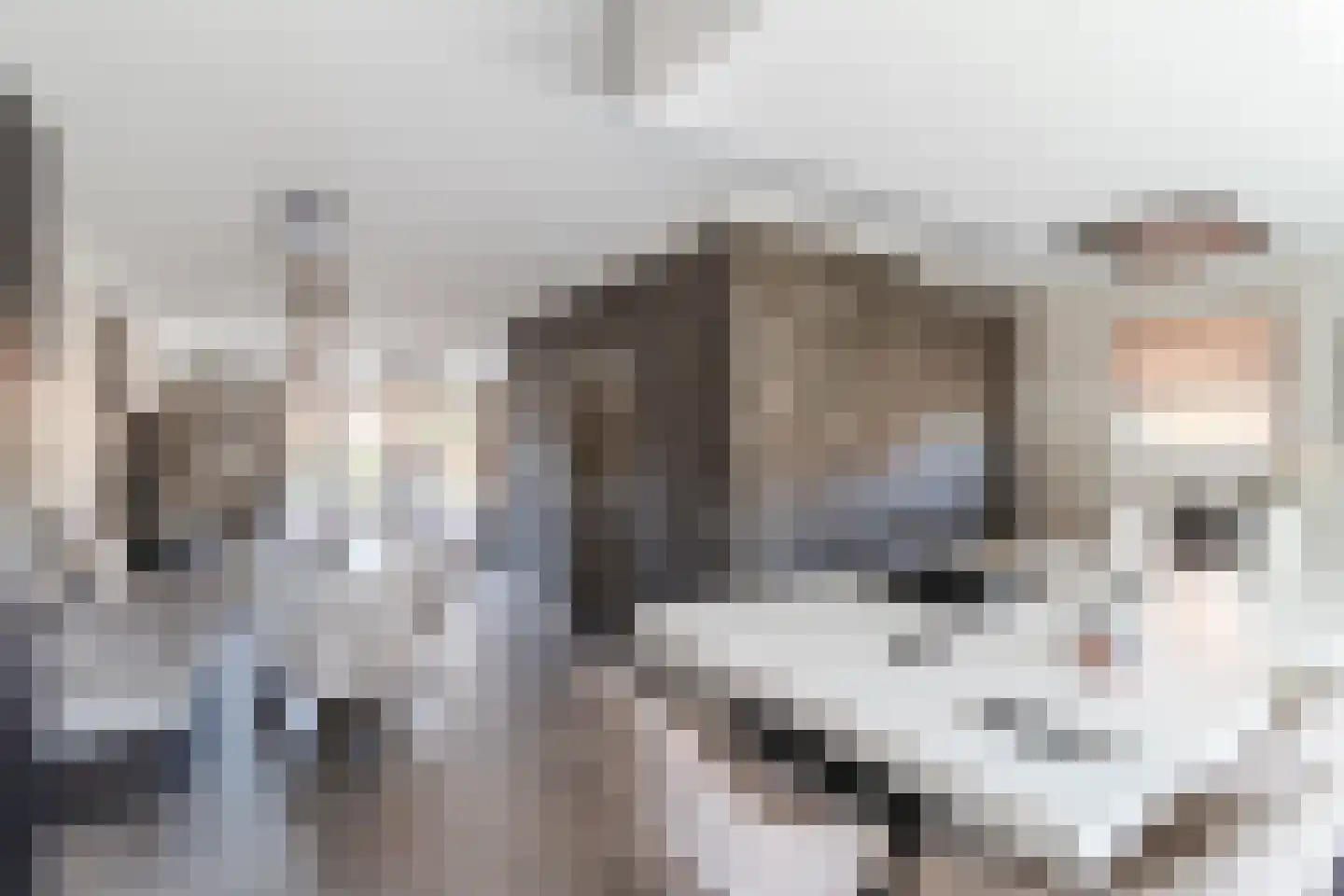 Kapiteel 1 Waddinxveen thumbnail 15