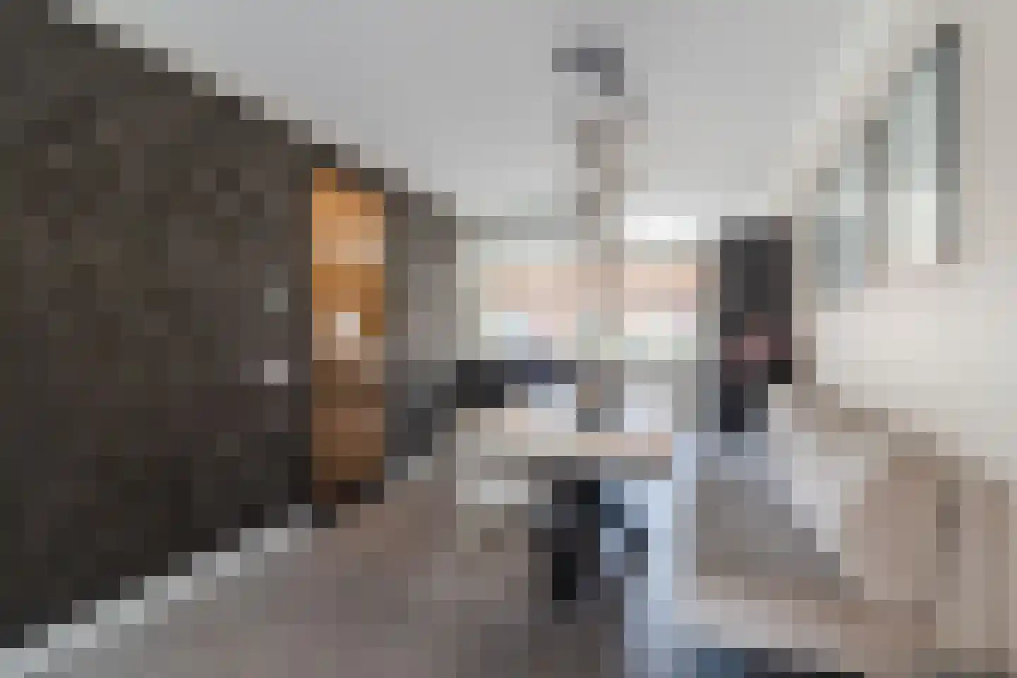 Kapiteel 1 Waddinxveen thumbnail 18