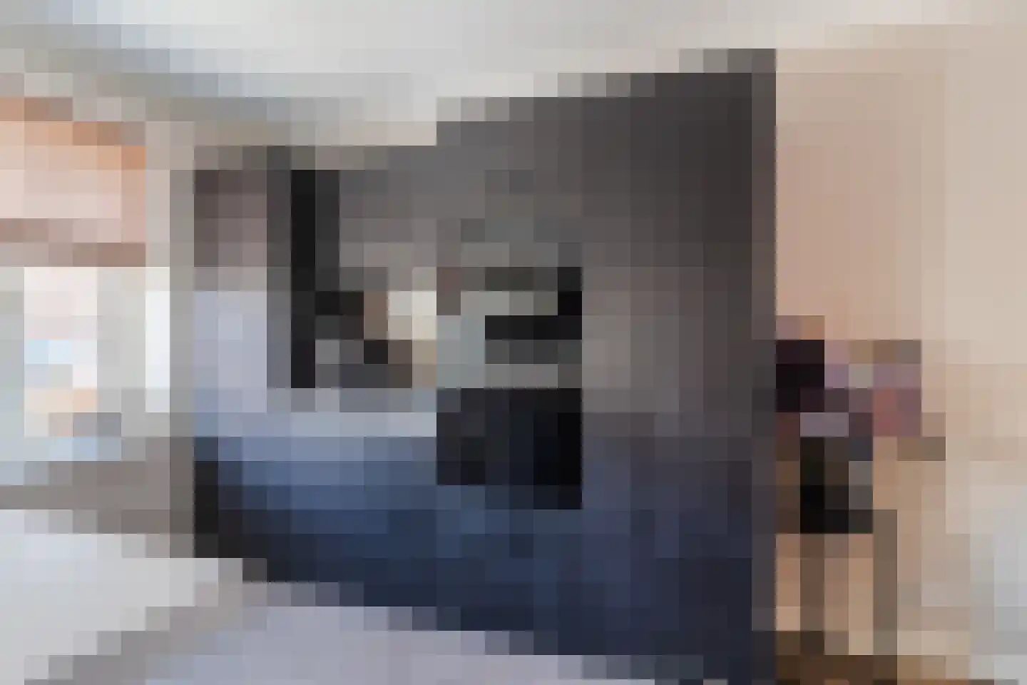 Kapiteel 1 Waddinxveen thumbnail 22