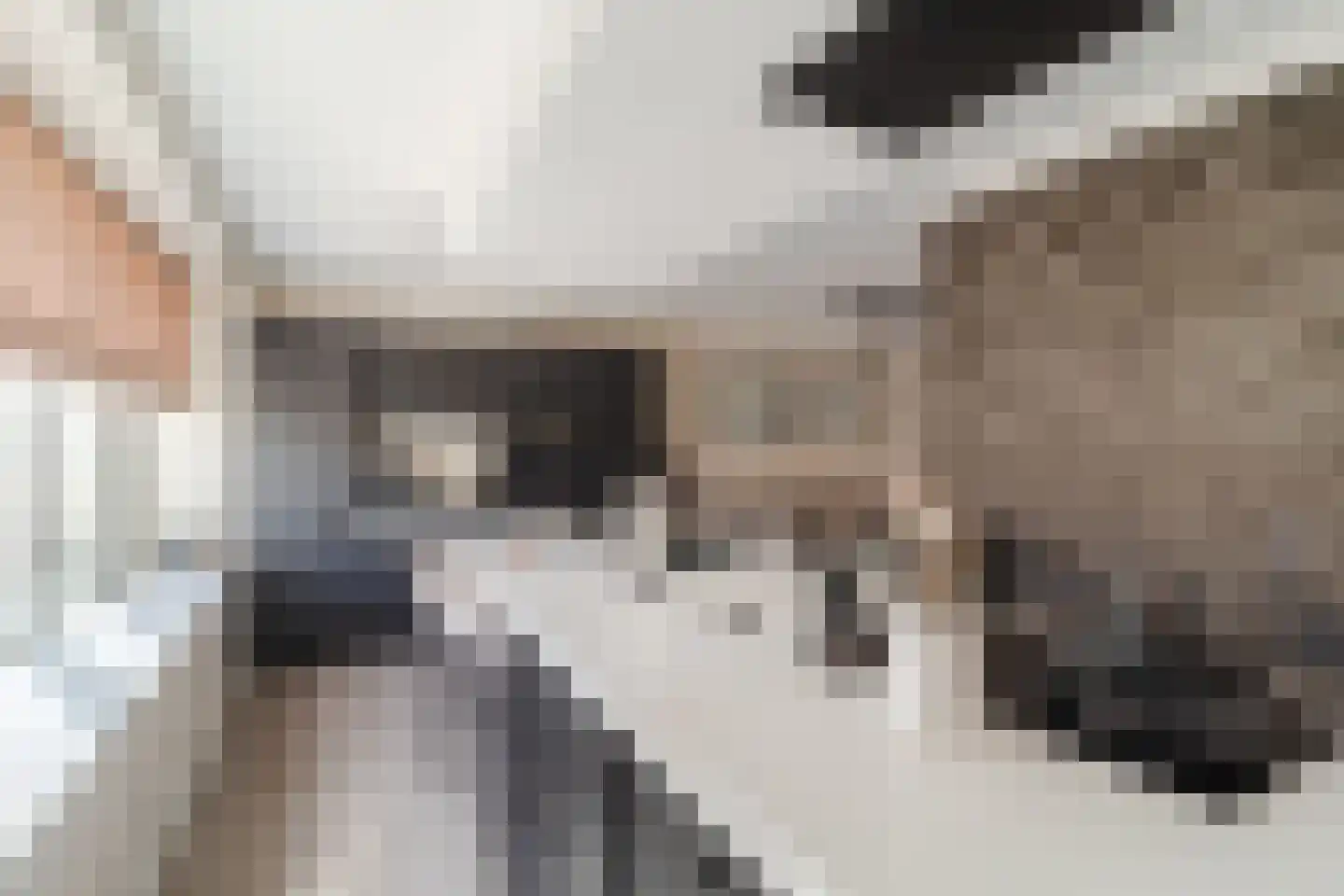 Kapiteel 1 Waddinxveen thumbnail 23