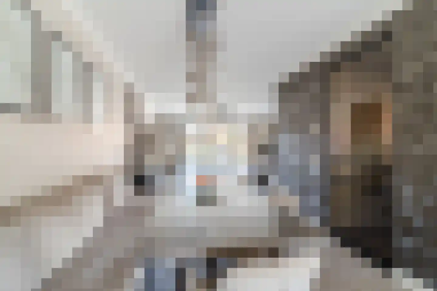 Kapiteel 1 Waddinxveen thumbnail 24