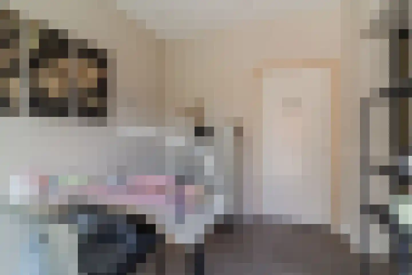 Kapiteel 1 Waddinxveen thumbnail 26