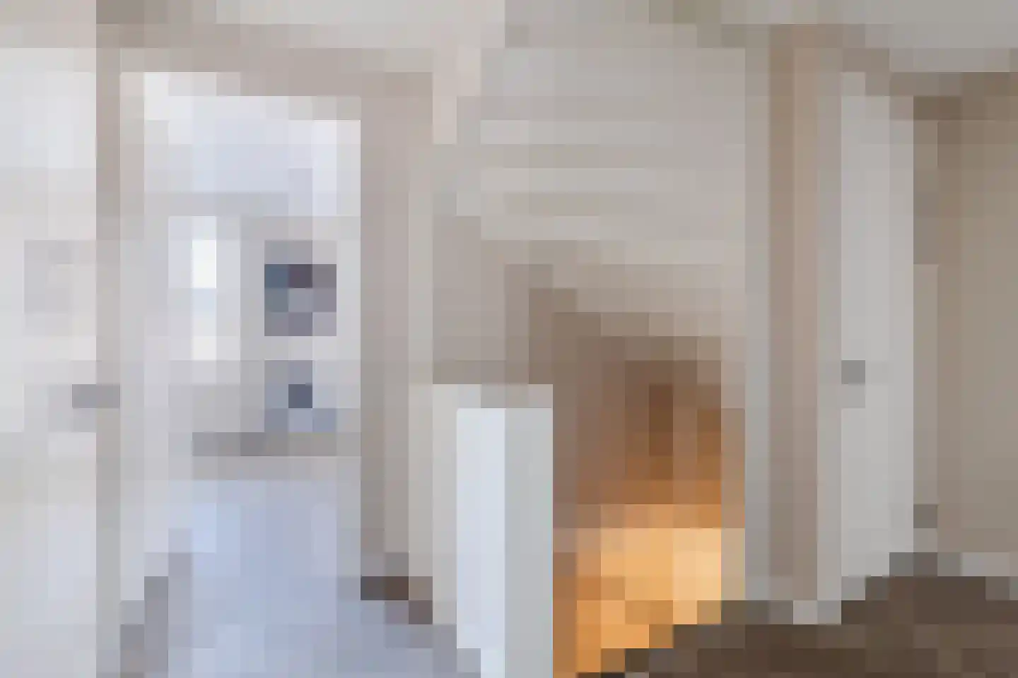 Kapiteel 1 Waddinxveen thumbnail 29