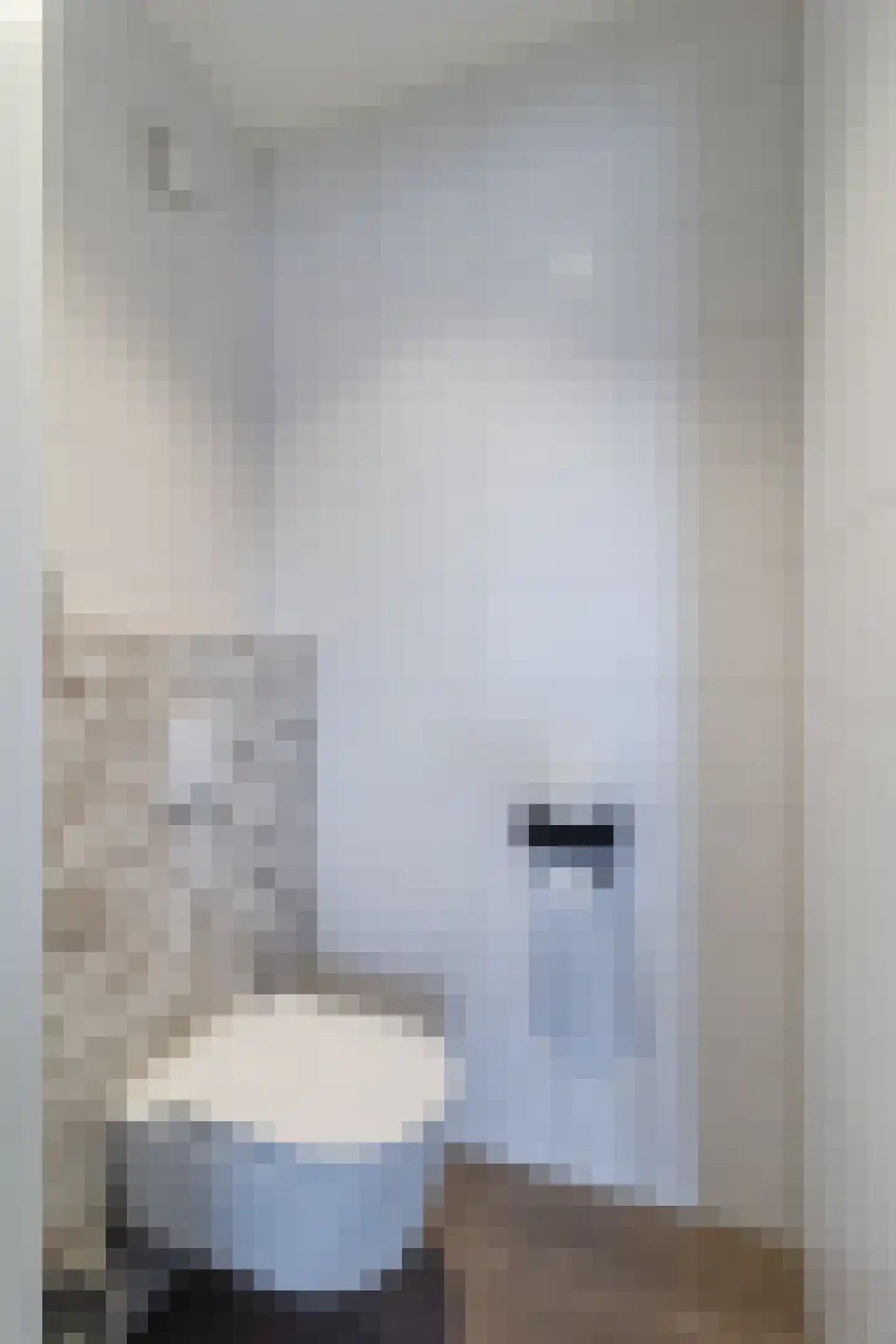 Kapiteel 1 Waddinxveen thumbnail 31