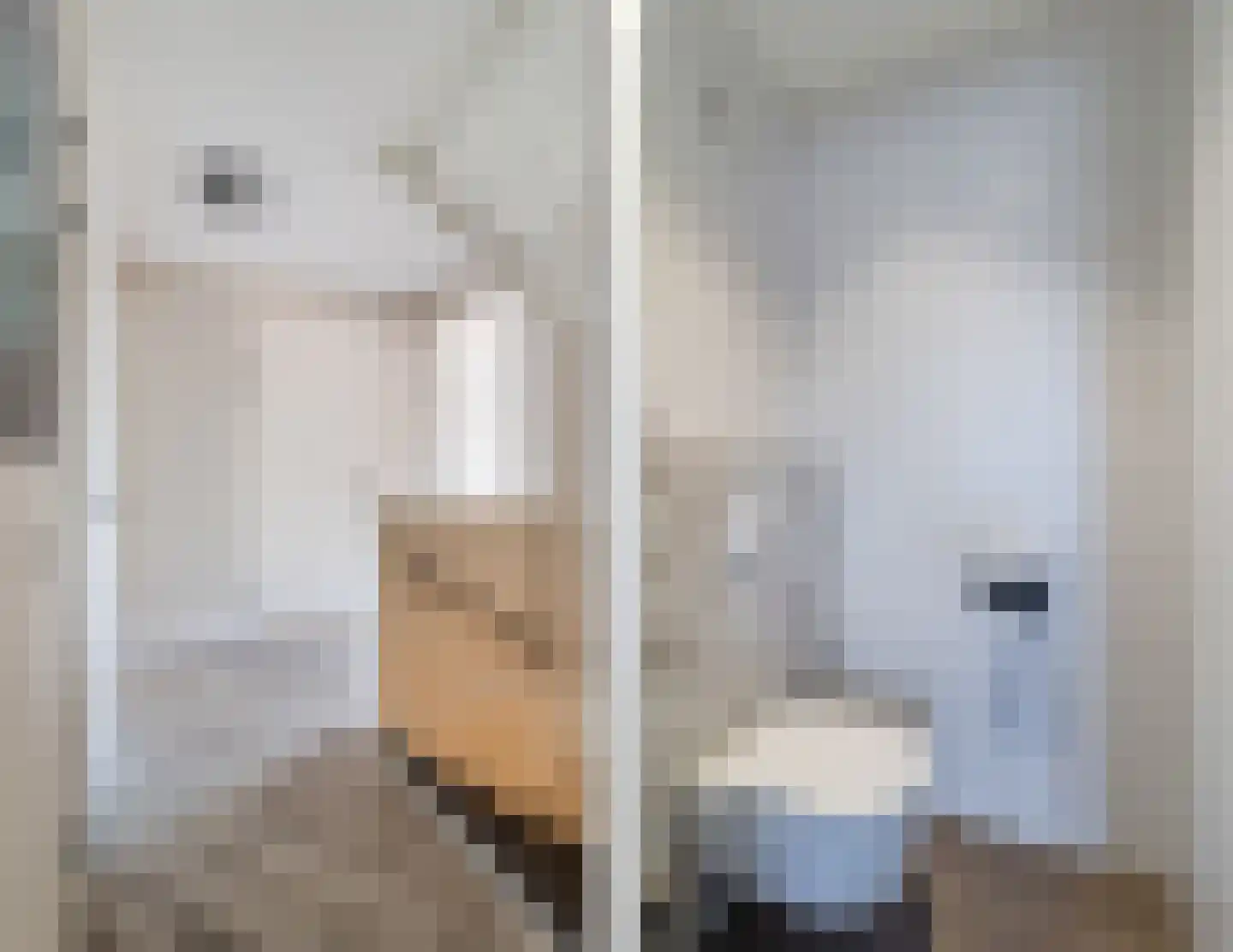 Kapiteel 1 Waddinxveen thumbnail 32