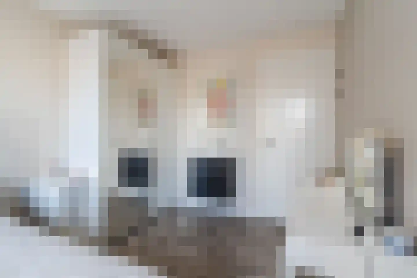 Kapiteel 1 Waddinxveen thumbnail 34