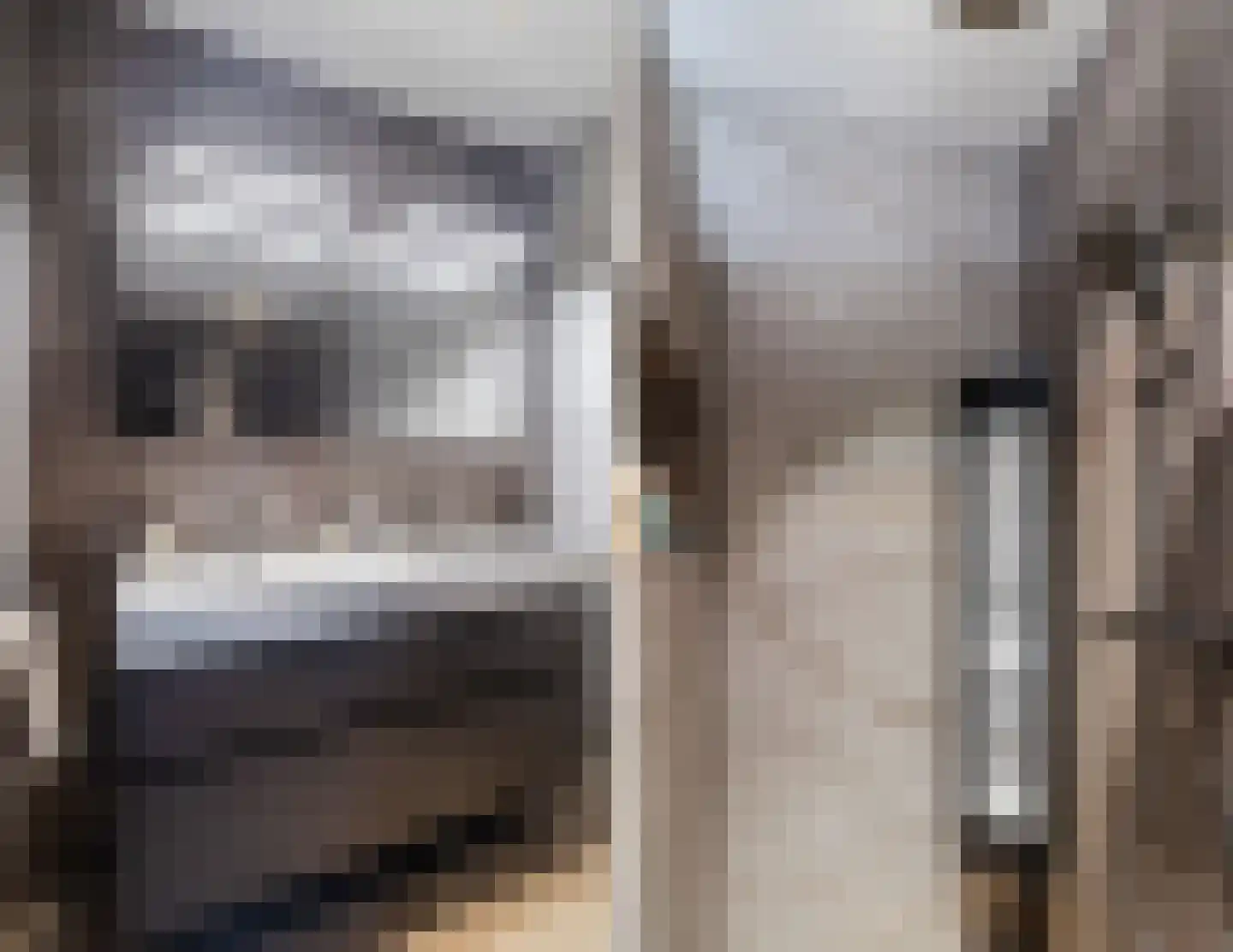 Kapiteel 1 Waddinxveen thumbnail 42