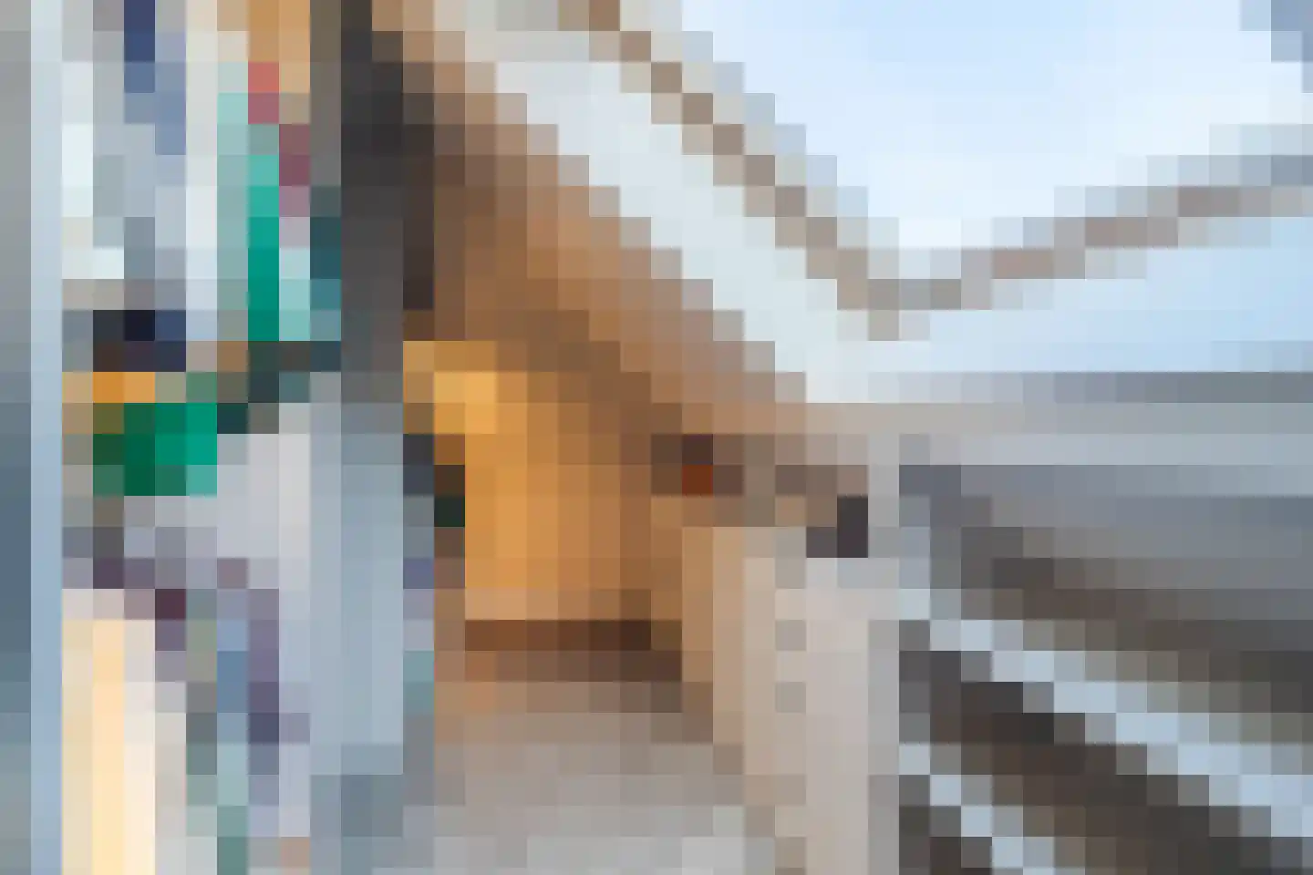 Kapiteel 1 Waddinxveen thumbnail 45
