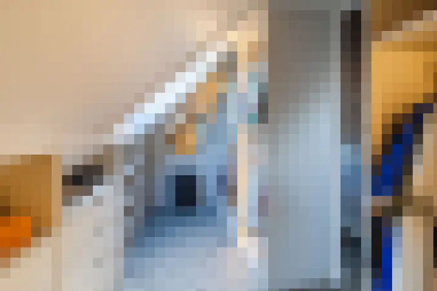 Kapiteel 1 Waddinxveen thumbnail 46