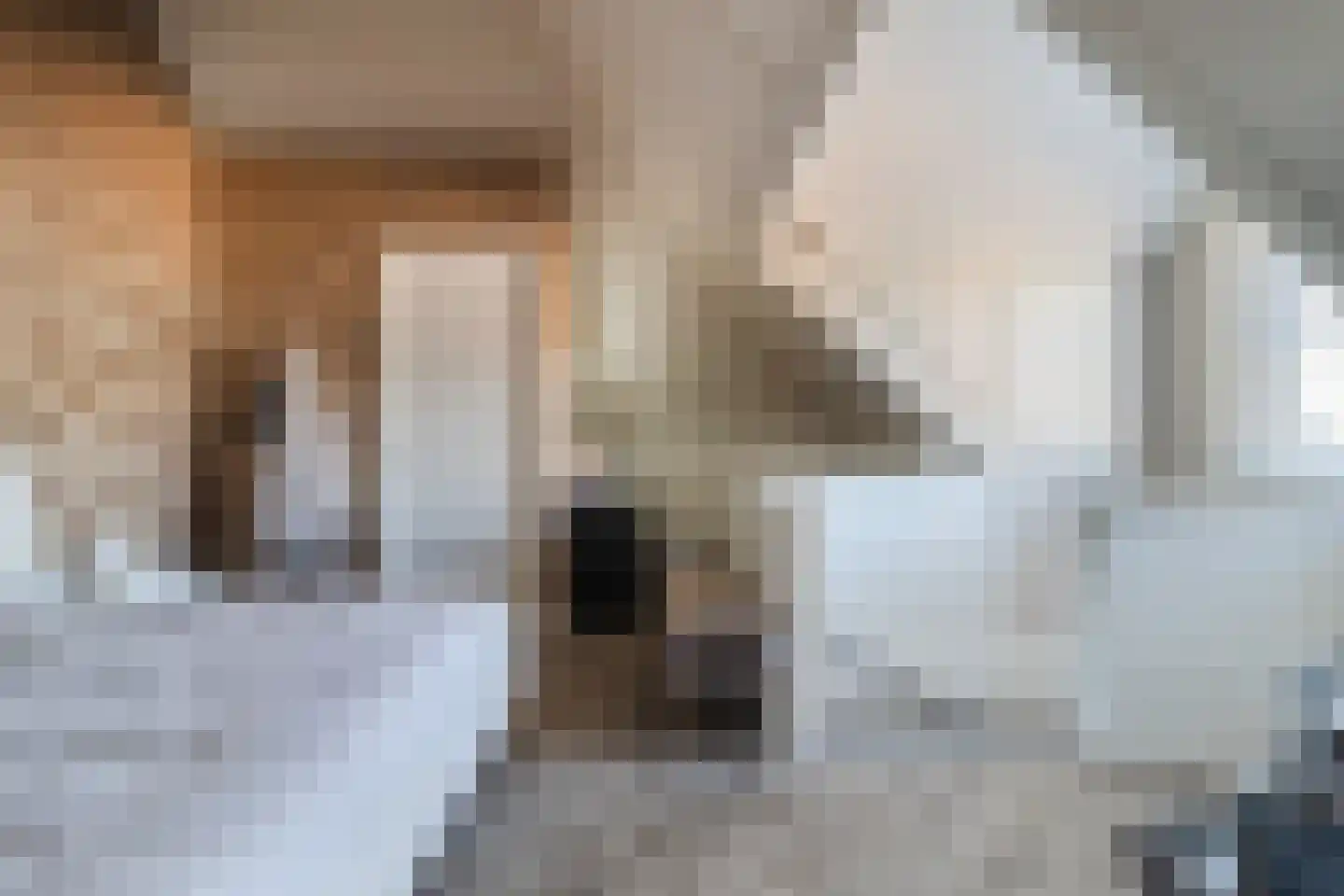 Kapiteel 1 Waddinxveen thumbnail 47