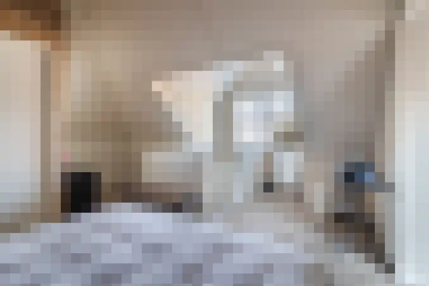 Kapiteel 1 Waddinxveen thumbnail 48