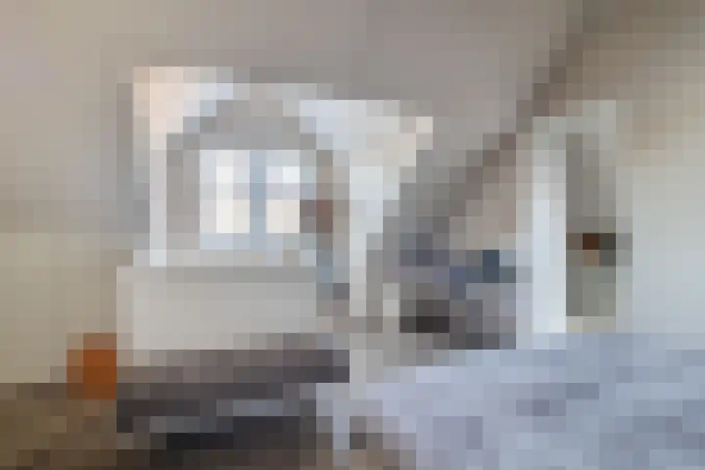 Kapiteel 1 Waddinxveen thumbnail 49