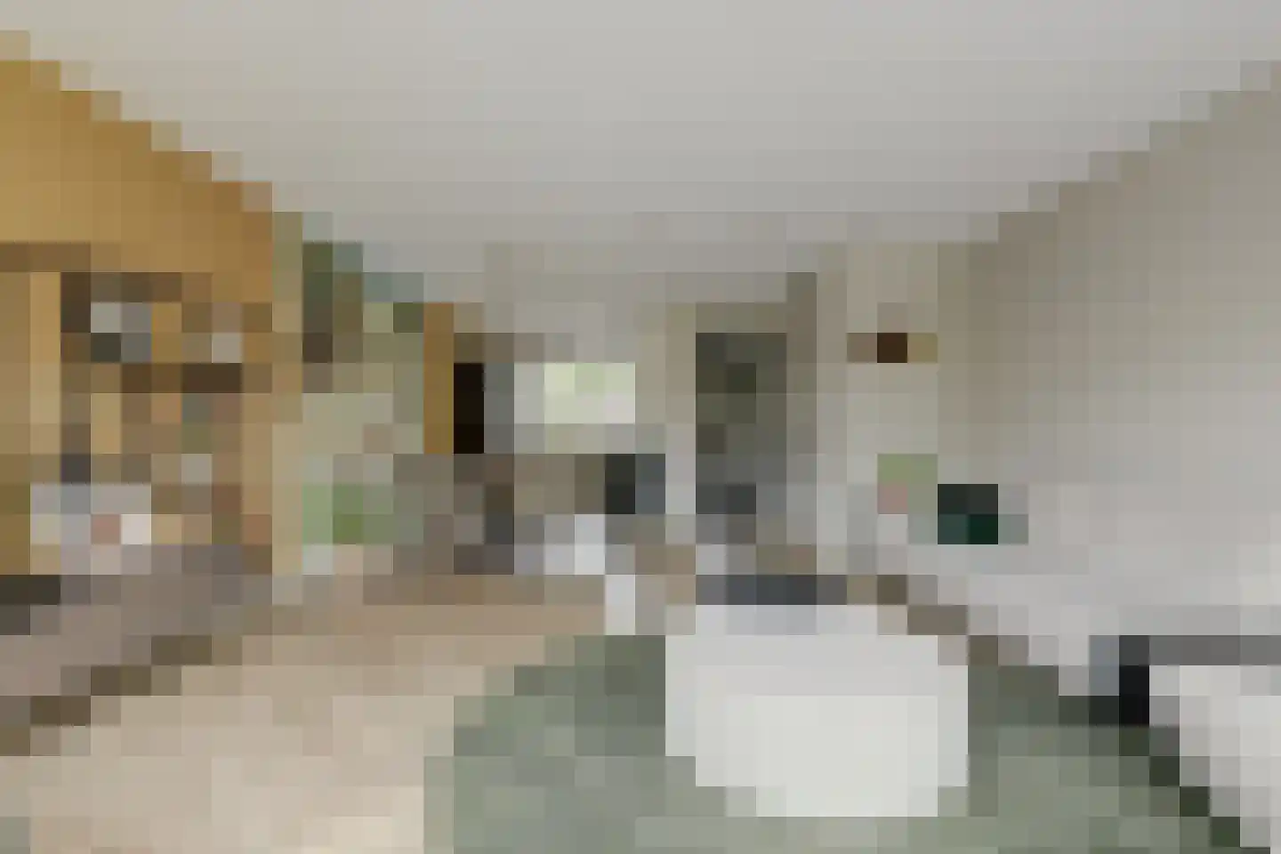 Kapiteel 13 Waddinxveen thumbnail 13