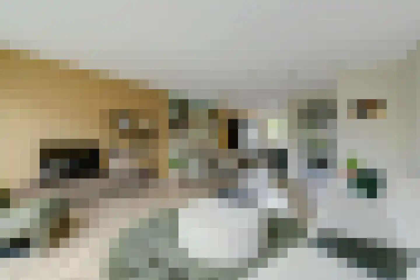 Kapiteel 13 Waddinxveen thumbnail 14