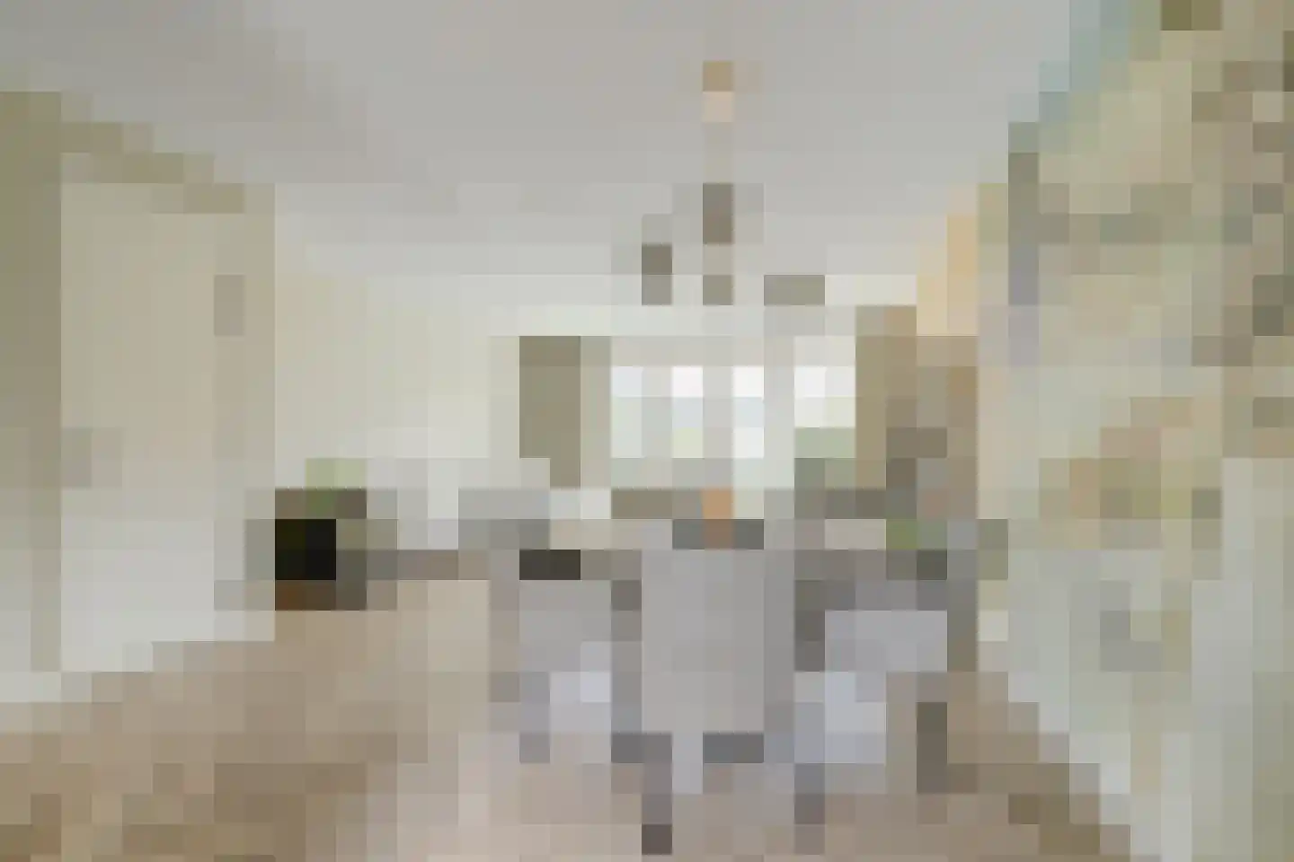 Kapiteel 13 Waddinxveen thumbnail 16