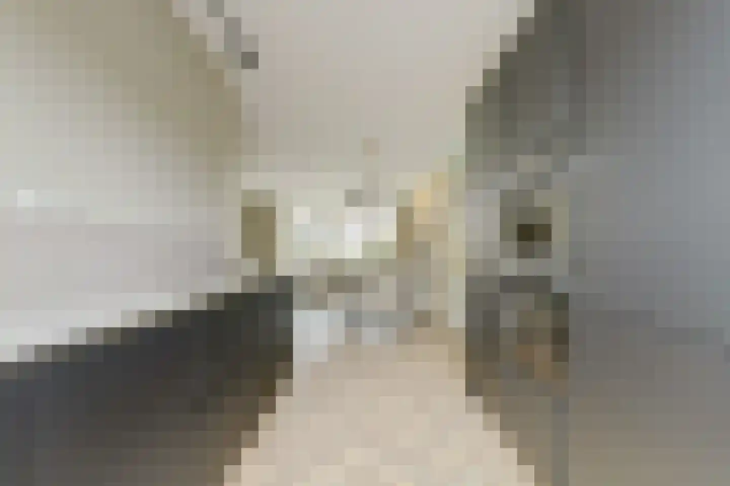 Kapiteel 13 Waddinxveen thumbnail 20